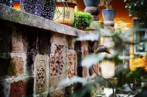 小沙弥出家生活,沙弥出家当和尚要什么条件