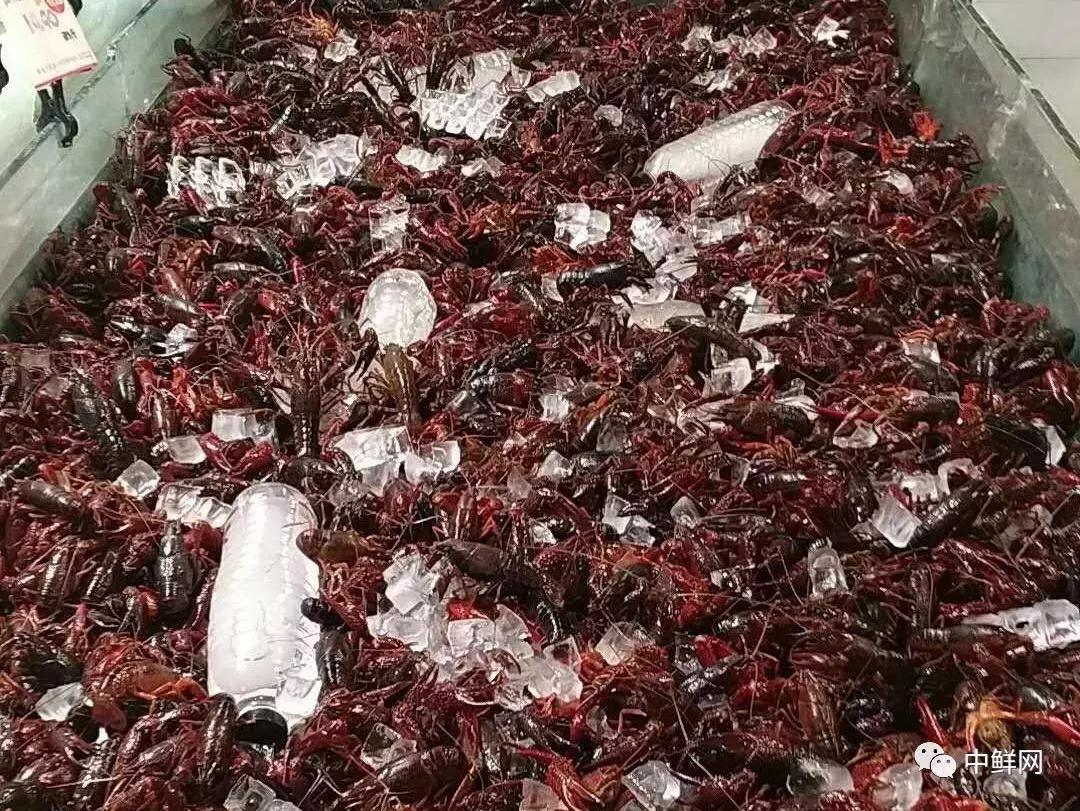 水产销售的技巧和方法,7月水产