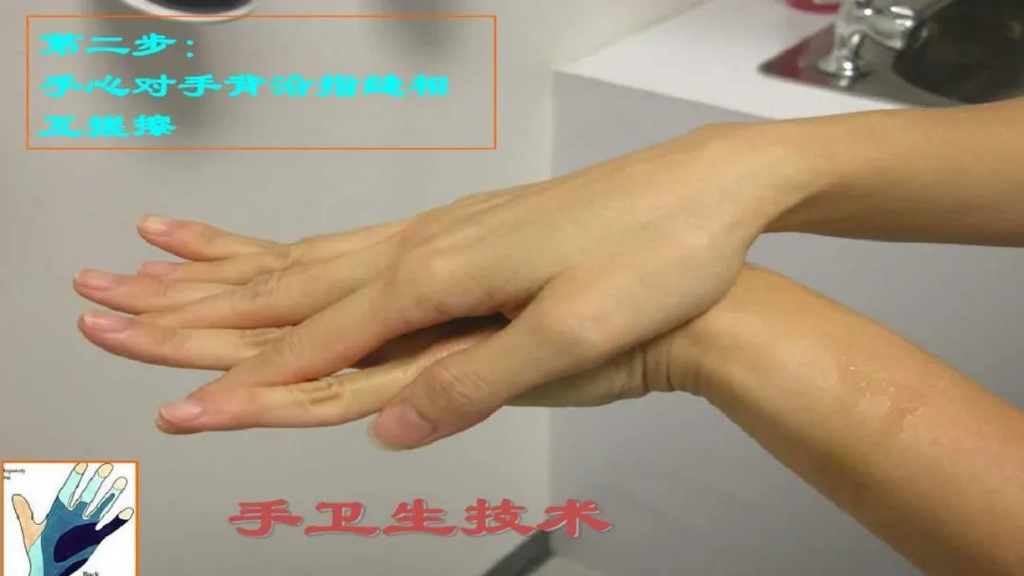 课件-陪护人员医院感染知识培训