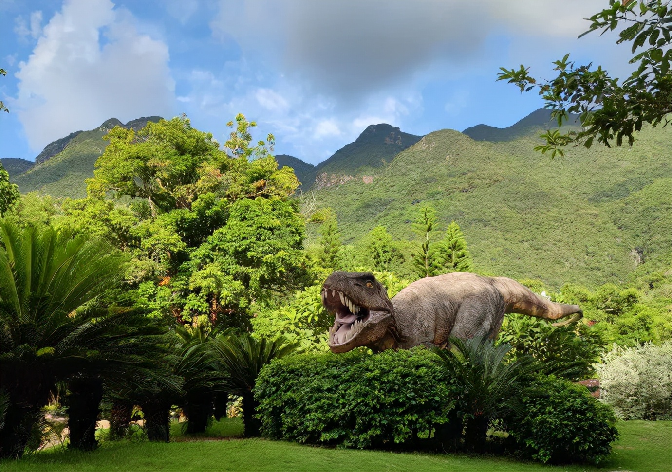 国庆深圳好去处,深圳有什么好玩的地方景点推荐