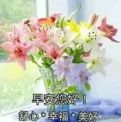 群问候早上好句子图片,微信祝福语早上好简短独特句子