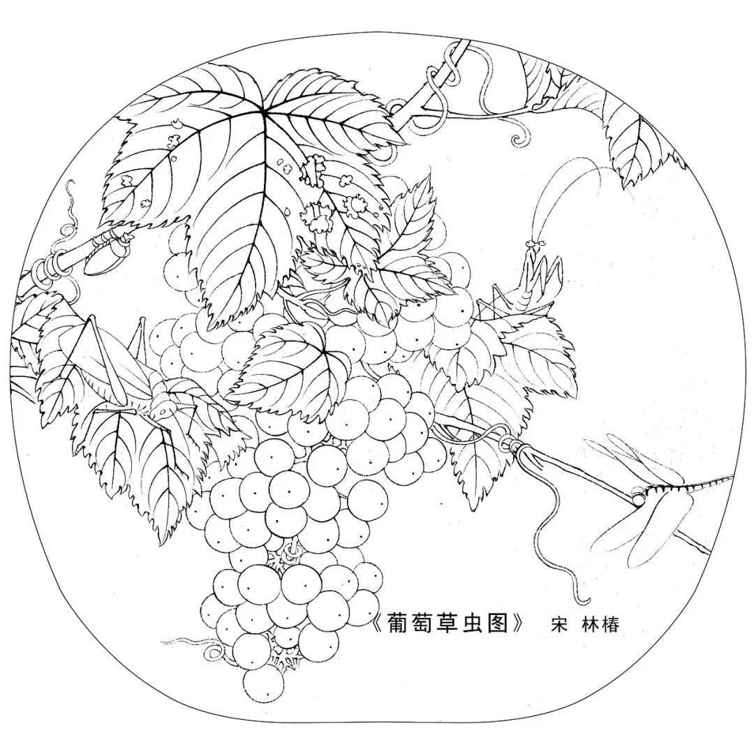 宋人工笔白描,宋人小品花鸟工笔白描高清图