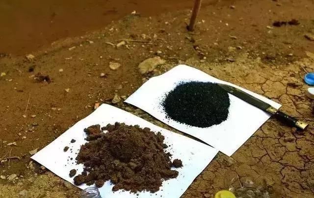 野外生存小技巧怎么过滤水,野外生存取水的正确方法