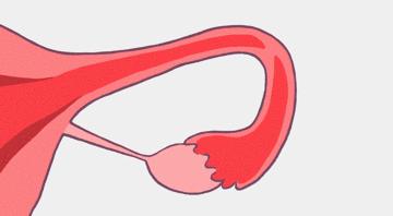 怀孕没那么神秘,所以这么多人才着迷