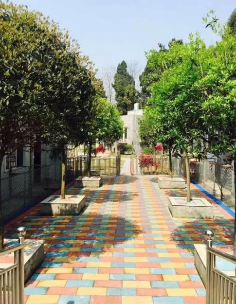 法国斗牛犬犬舍哪家好些,哪家宠物店买法国斗牛犬最好