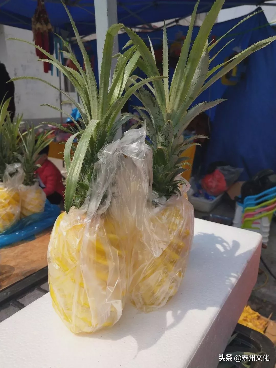 泰州人，还记得当年赶过的集场吗？（附时间表）