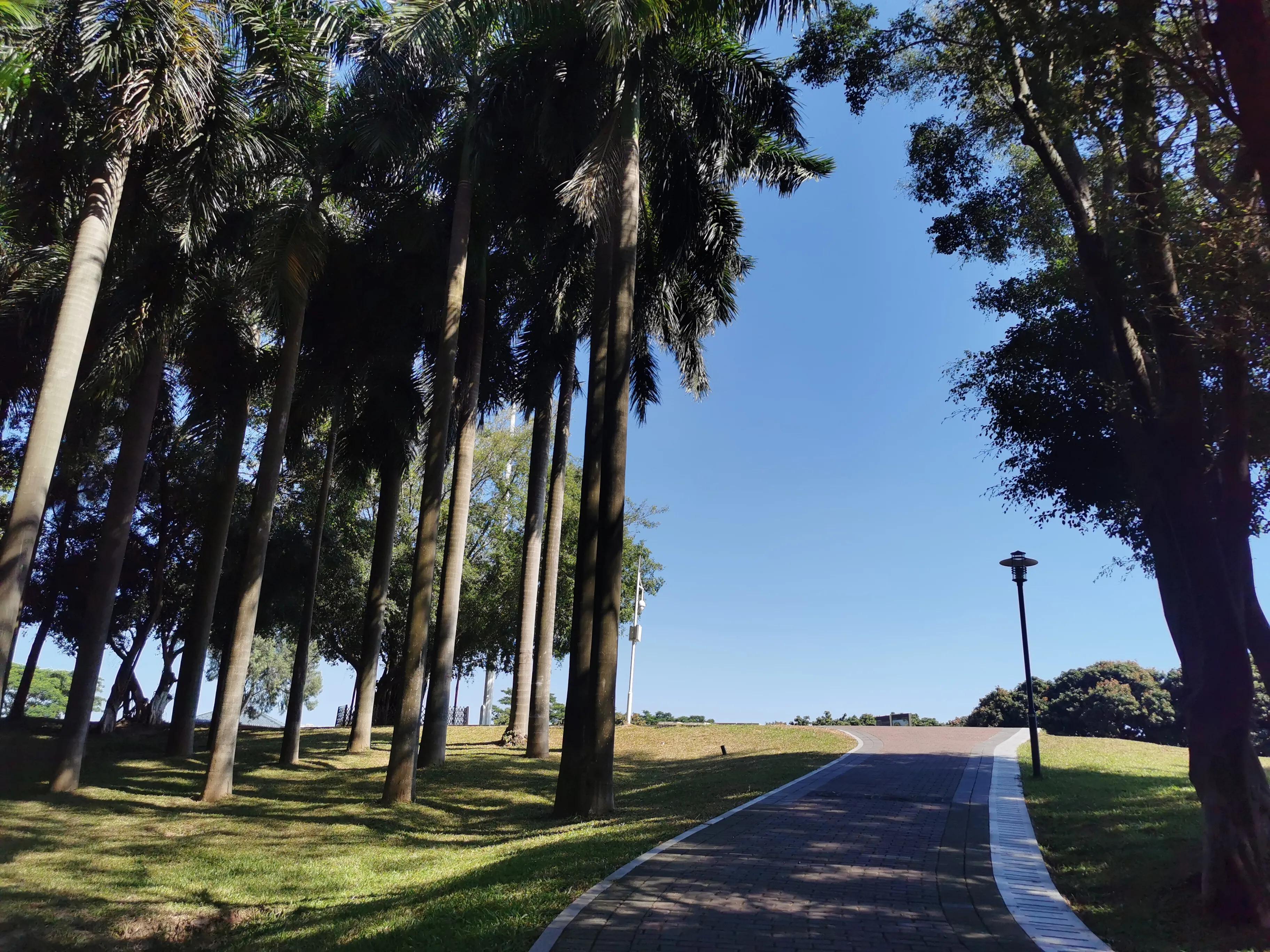 深圳深秋石岩湖,隐秘的打卡点