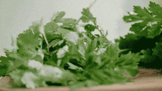 上海青团最正宗,上海南京路老字号青团