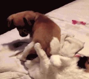 山海经中以乳为目以脐为口的怪物,山海经搞笑图片