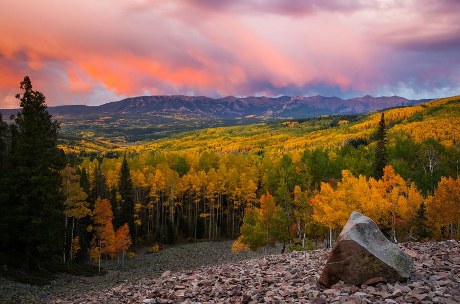 周公解梦的底层逻辑与依据,周公解梦到底可不可信