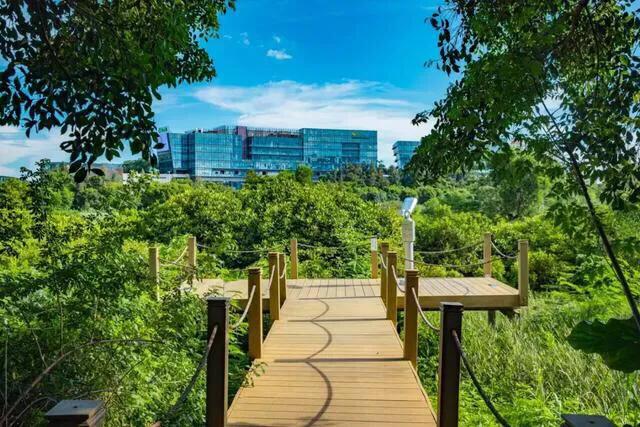 深圳免费公园哪里最好啊,深圳十大免费公园景点大全
