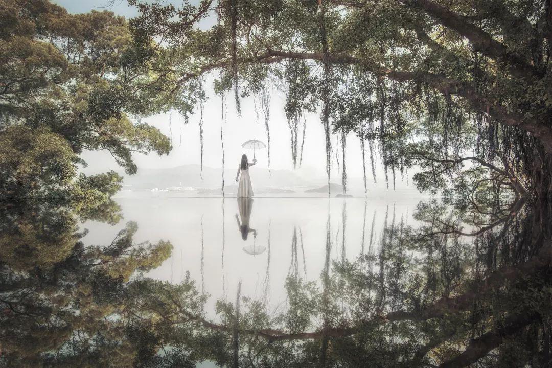 影叶：我就这样走上了摄影之路