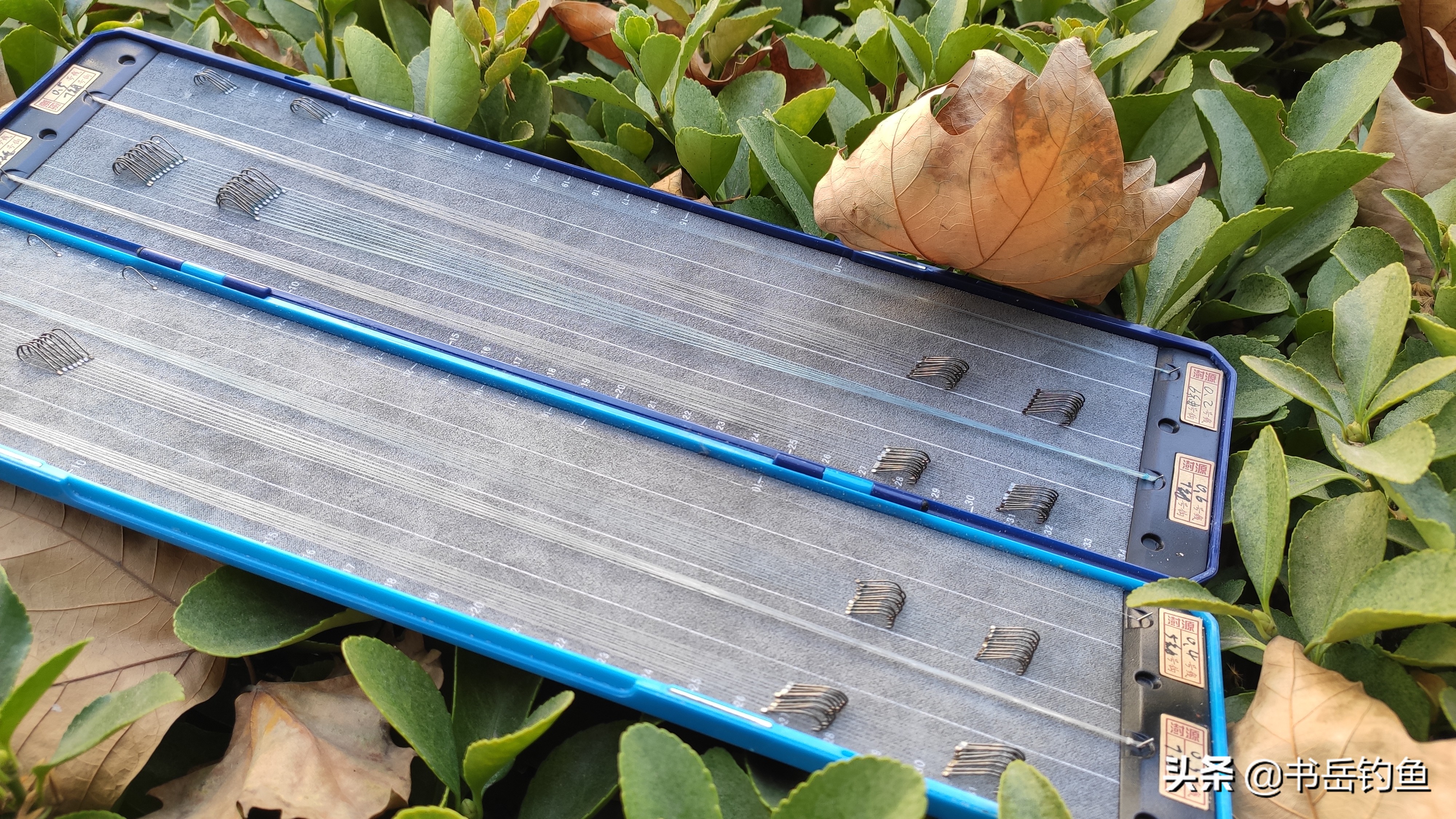 学会绑短子线渔获翻倍,子线长短的正确使用方法