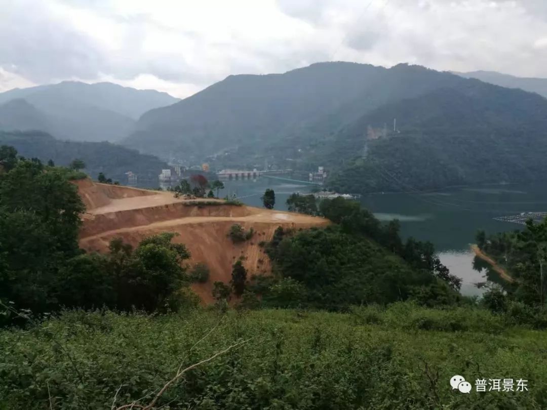 周文军：一个把茶窝子开到3个国家的景东人