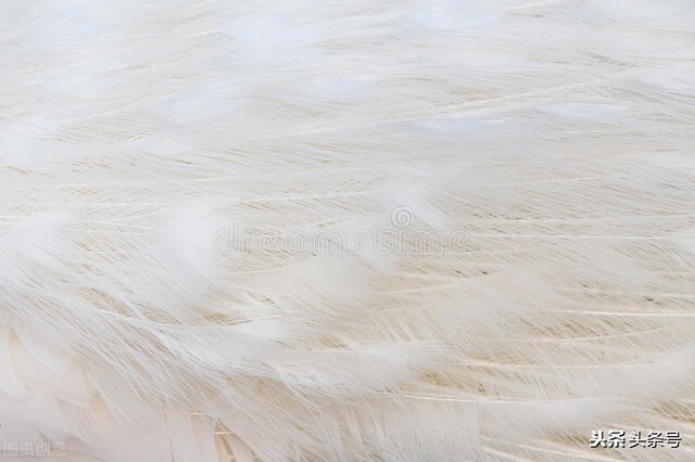 农业创业商机大全,想创业做农业没本钱怎么办