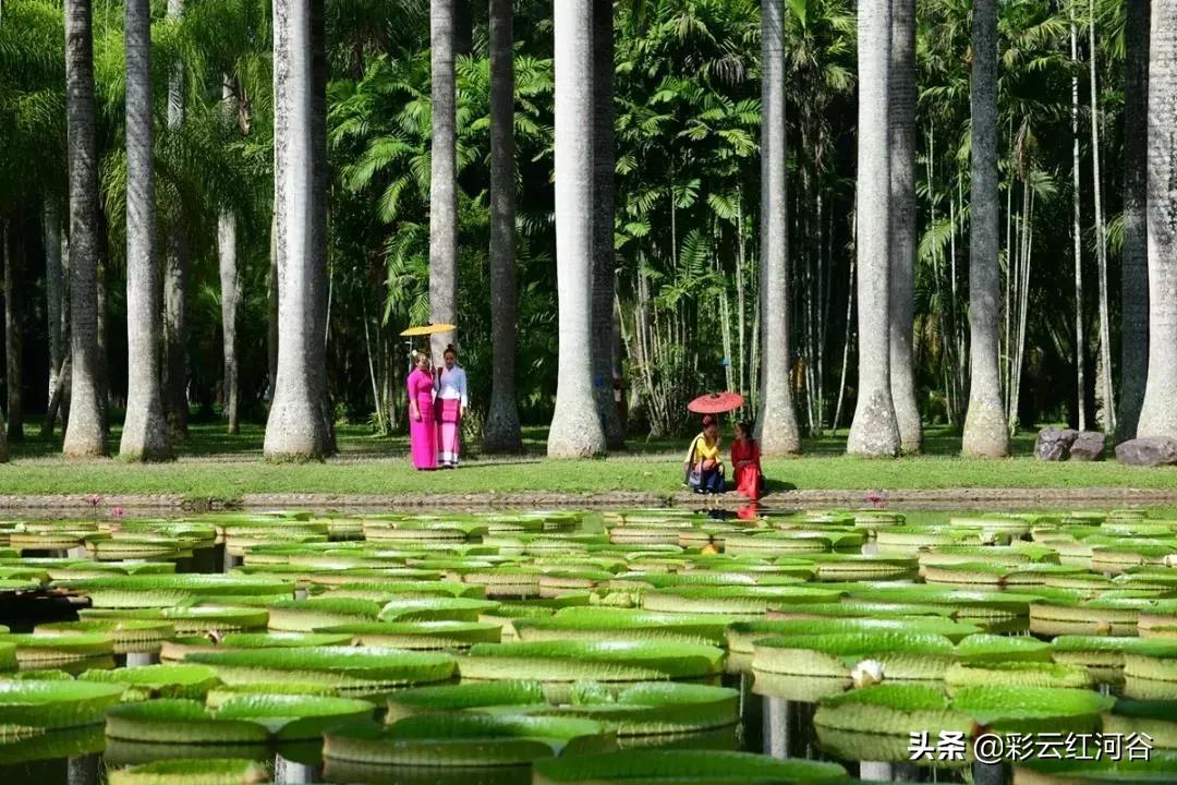 中国云南哪里好看,云南的云彩为什么好看