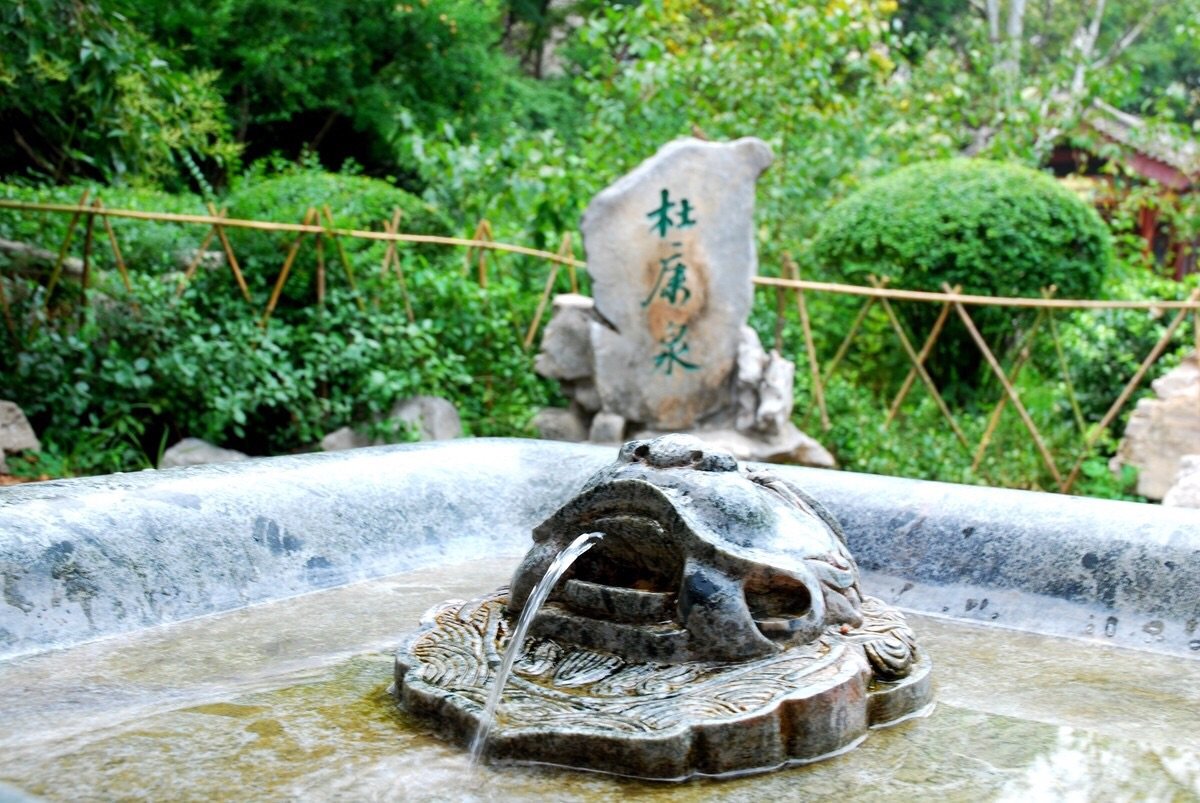 惊奇！千年汝阳杜康泉周边生长罕见的鸳鸯虾矿泉水有什么好处？