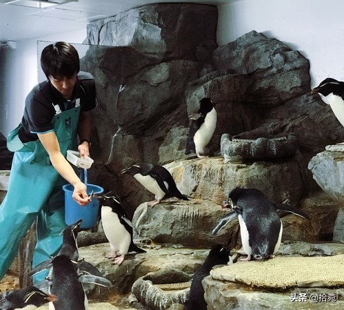 来到大阪自然少不了买买买,大阪心斋桥买买买最全攻略