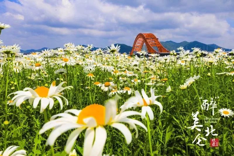 家在北仑,我有一个家北仑