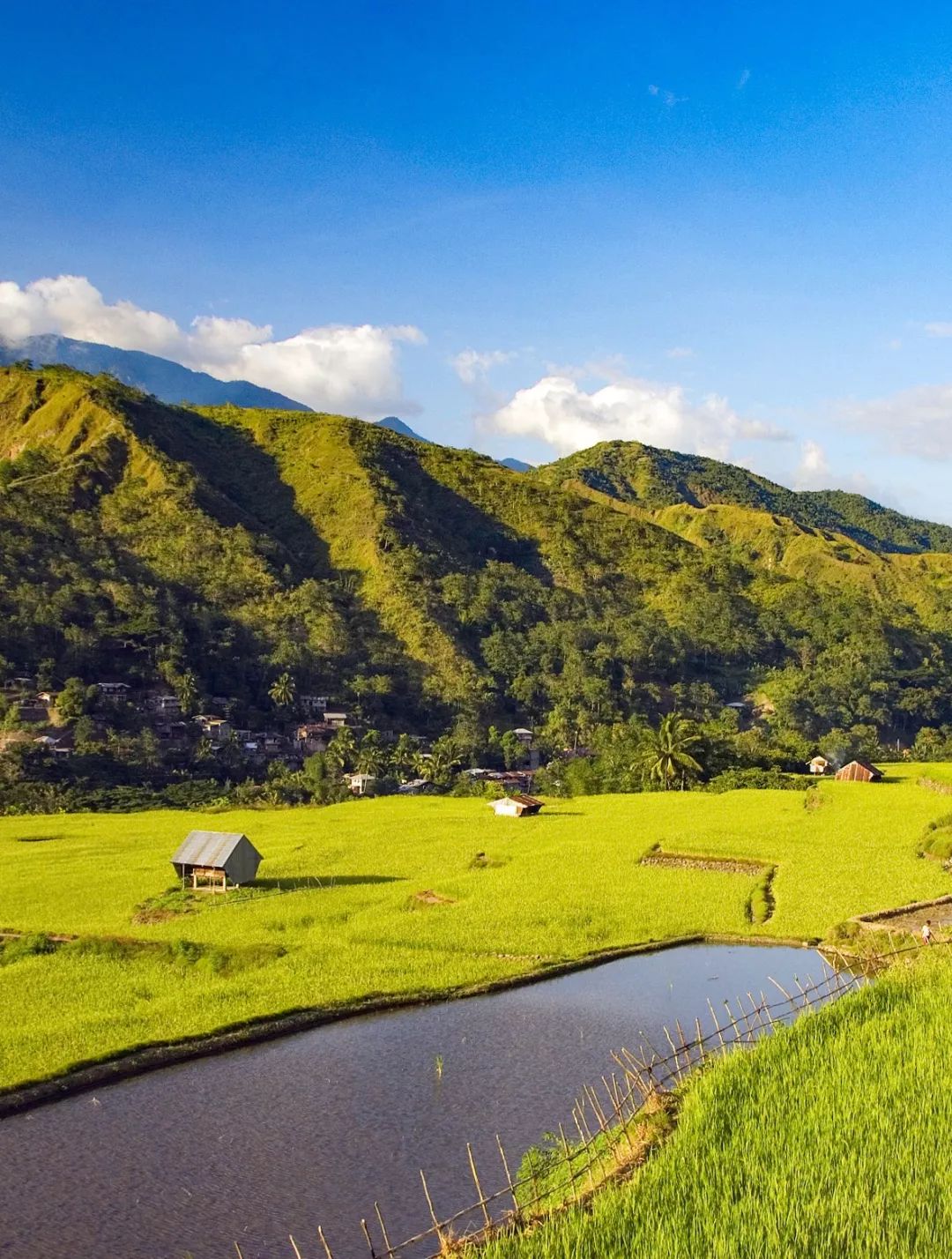 菲律宾碎玻璃,菲律宾塑料破碎