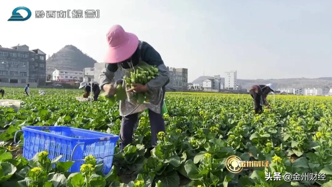 聚焦安全保供加强疫情用电管理,财税金融支持防疫保供