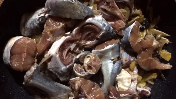 身上有好多刺的海鱼有毒的,背上有毒刺的鱼