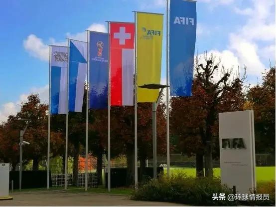 瑞士国际组织有哪些,瑞士日内瓦有什么国际组织