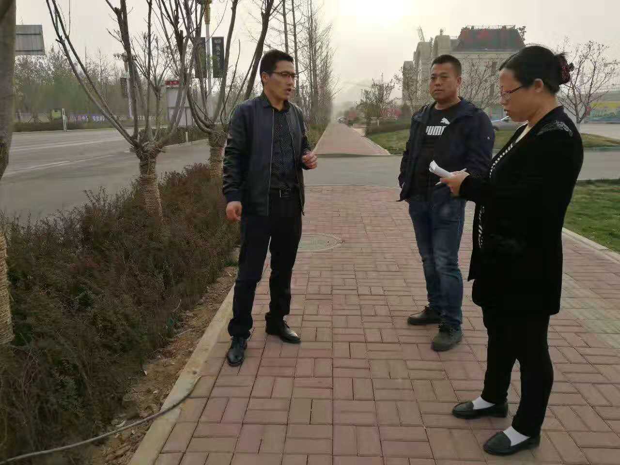 树木冻伤补救措施,树木冻死一半怎么养护