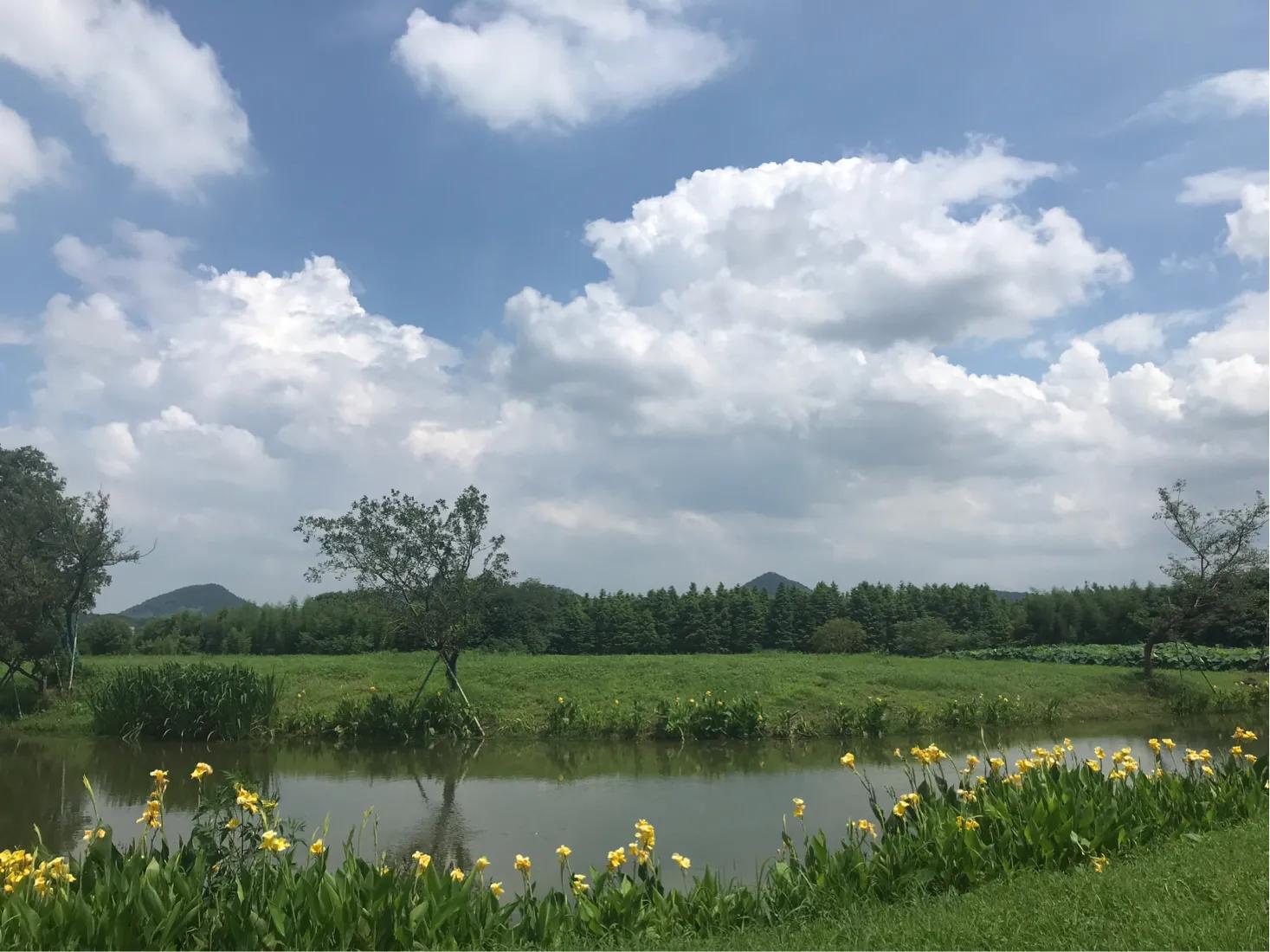 良渚文化村和良渚遗址公园的区别,良渚古城遗址文化村