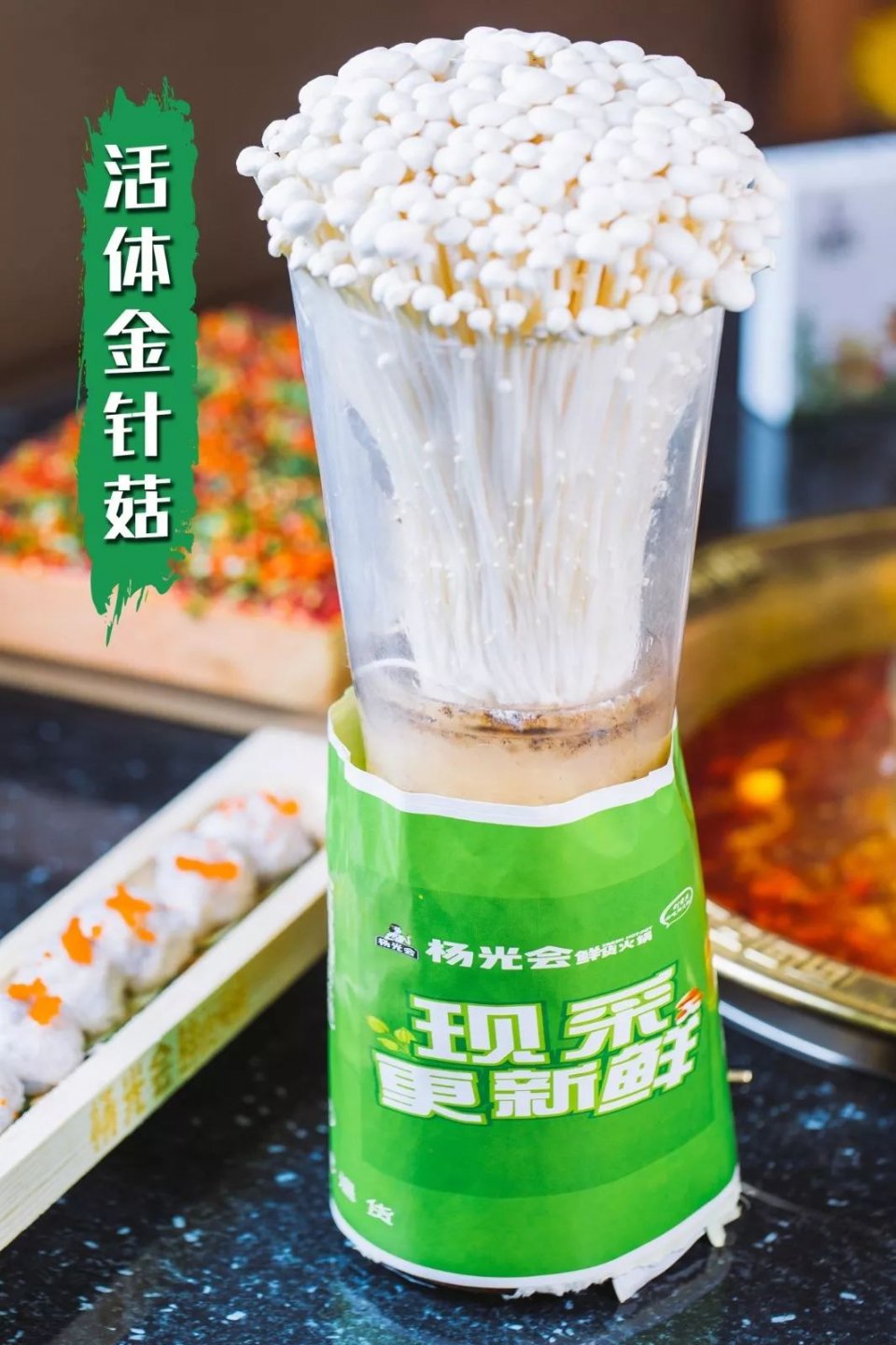 把菜园搬到餐厅,把菜园搬到家门口