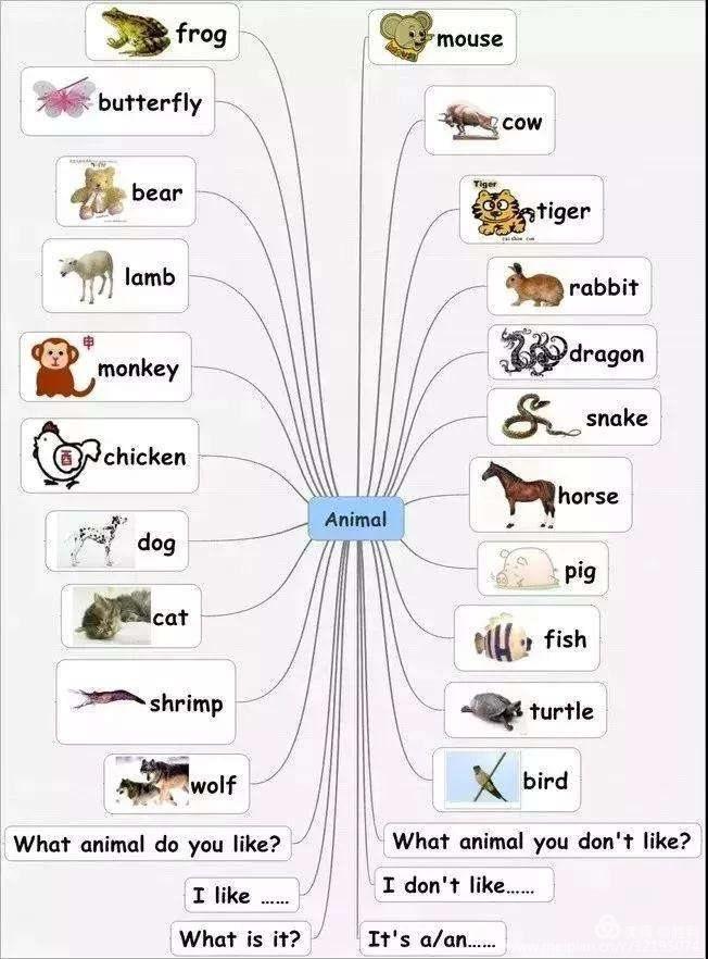 学科思维导图让学习看到思考的力量——导图绘制步骤