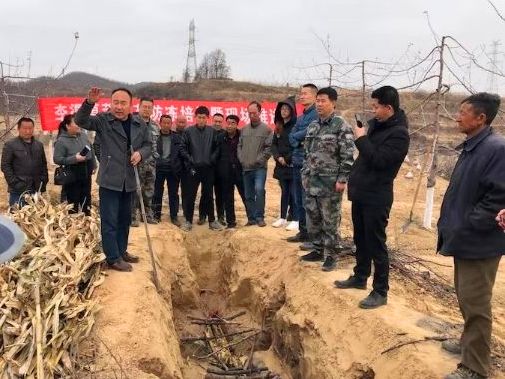 鍔涢噺2020,鍔涢噺2022