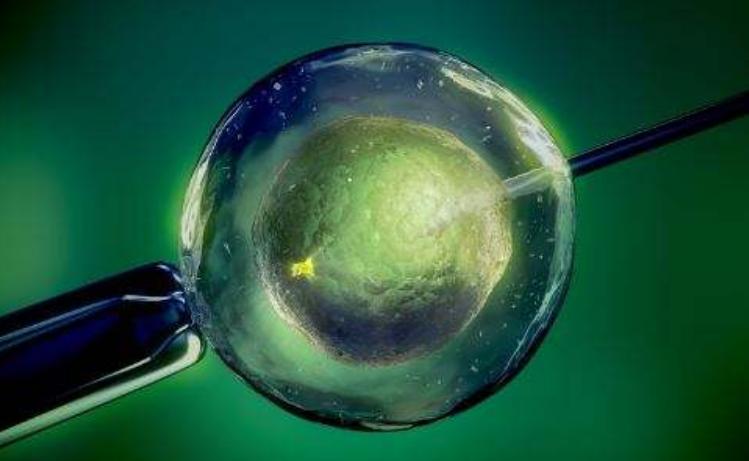 “真的一点都不疼”，18岁女孩*市黑**卖卵，针管刺入后疼哭在手术台