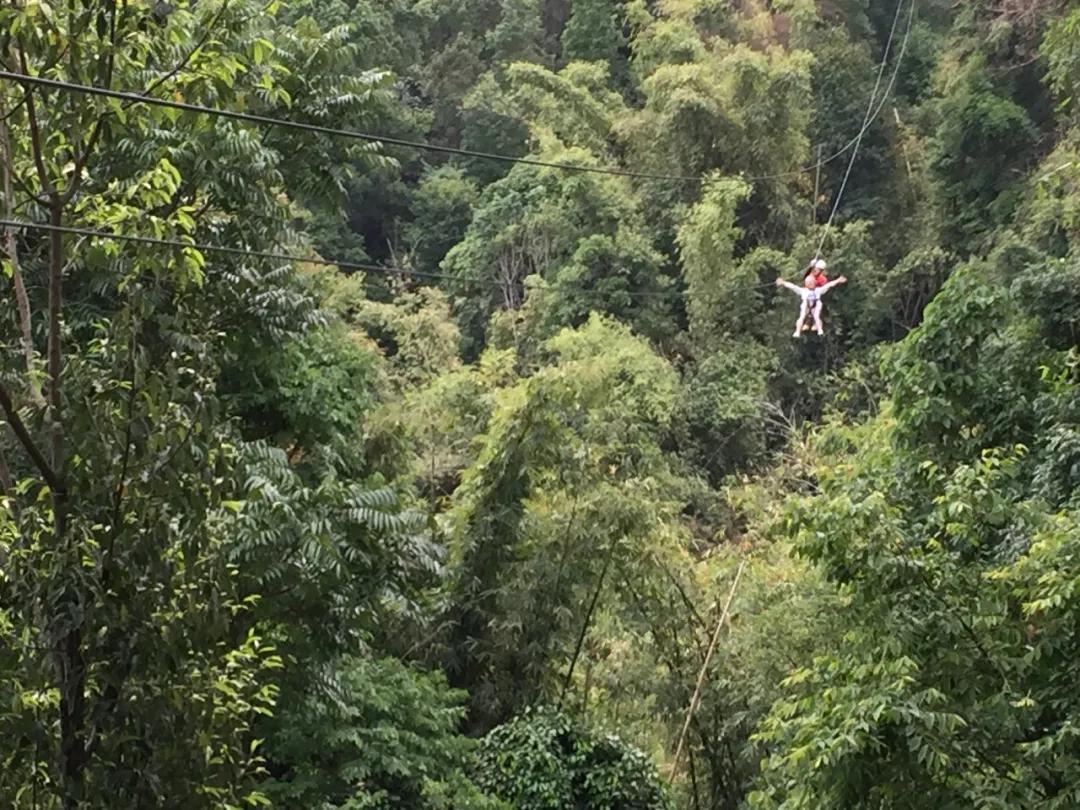 泰国清迈游玩攻略视频,泰国清迈四日旅游攻略