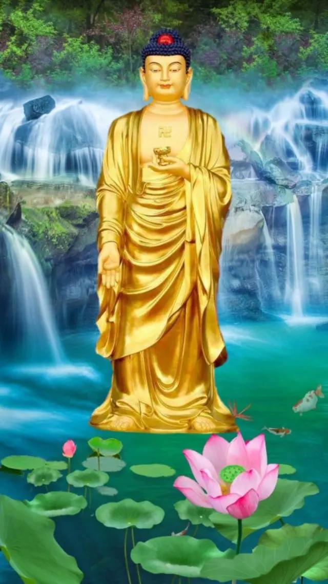 百看不厌的手机壁纸美图精选,佛系壁纸高清全屏无水印