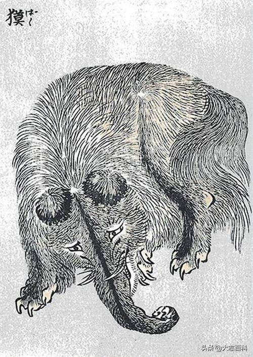 食梦貘是神兽吗,食梦兽是什么动物