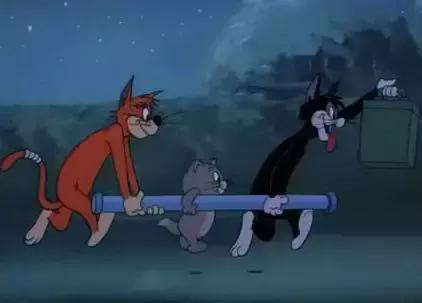 猫和老鼠中的白富美猫,汤姆就没追到过她,因为竞争对手很厉害