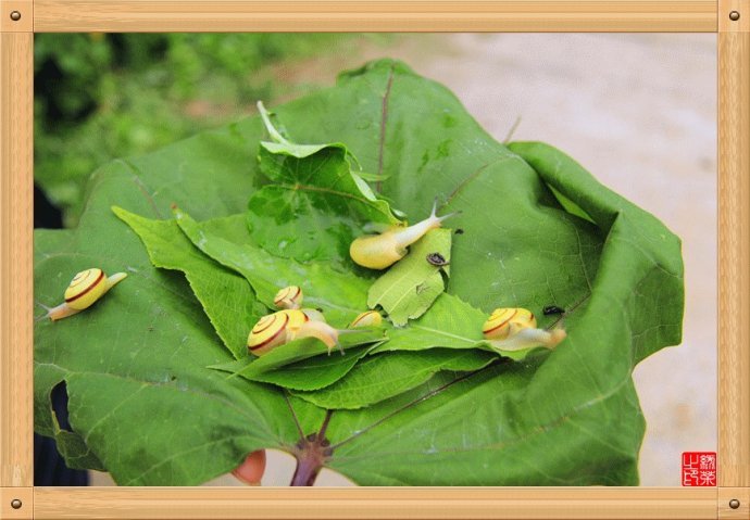 本溪南芬大峡谷游玩攻略,本溪南芬大峡谷一日游价格表