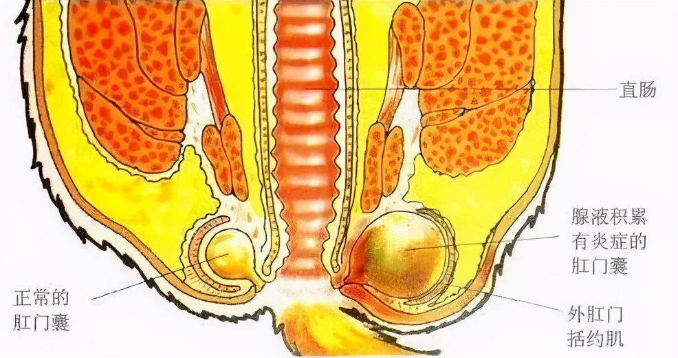 淦！给猫挤肛门腺喷到笔记本键盘上了