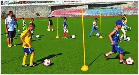 北京园博园游玩攻略秋季,北京园博园春日打卡好地方