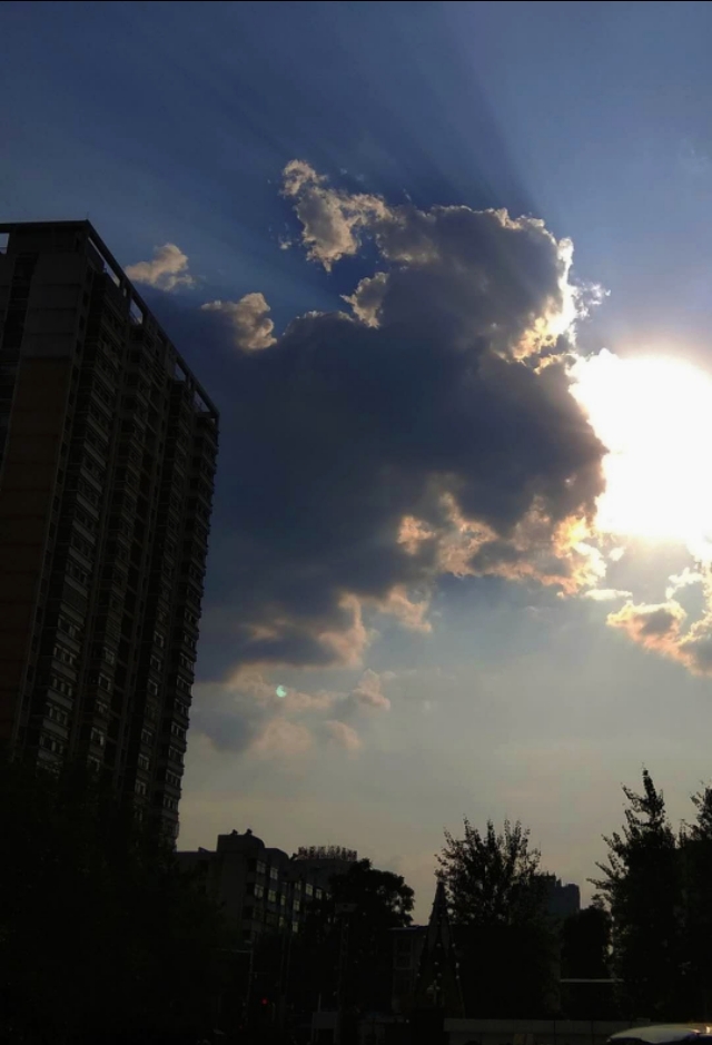 2019犯凶星的属相,2019年犯凶星的属相