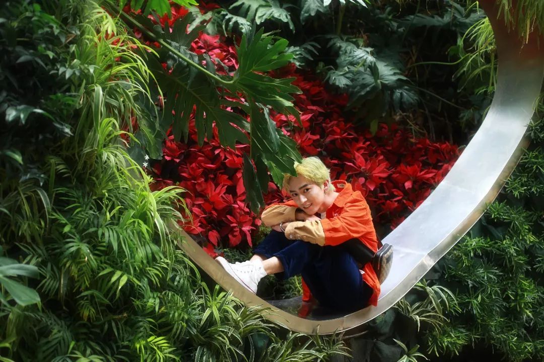 look缃戠孩,look鍝ュ摜