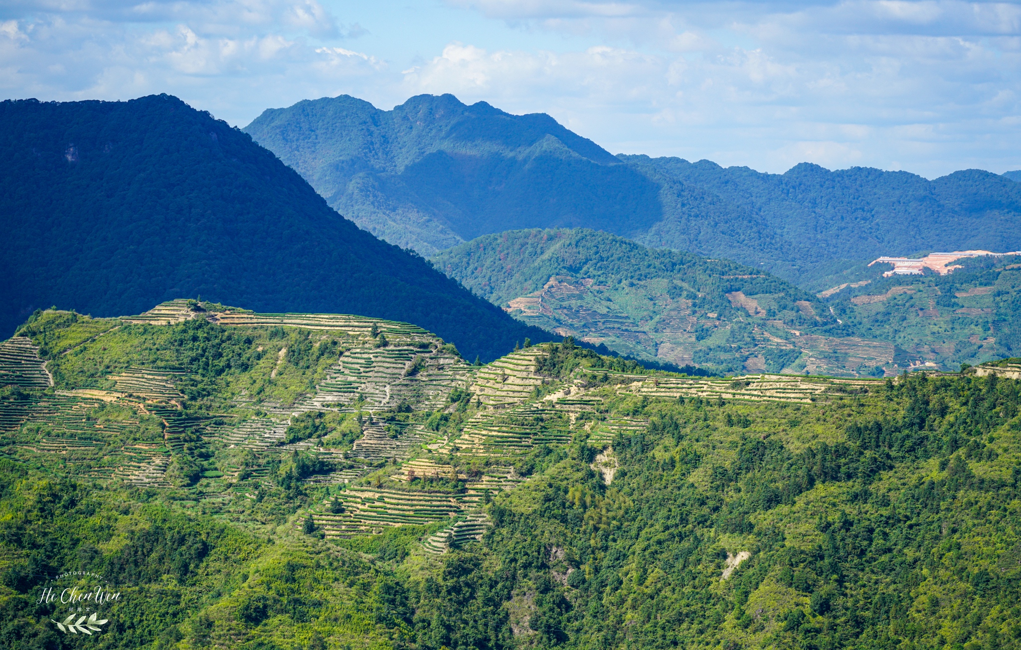中国十大品牌铁观音茶叶,铁观音福建中国十大名茶