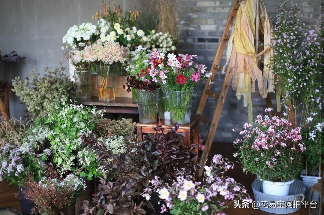 开花店必须知道的花语,开鲜花批发站点哪些点比较重要