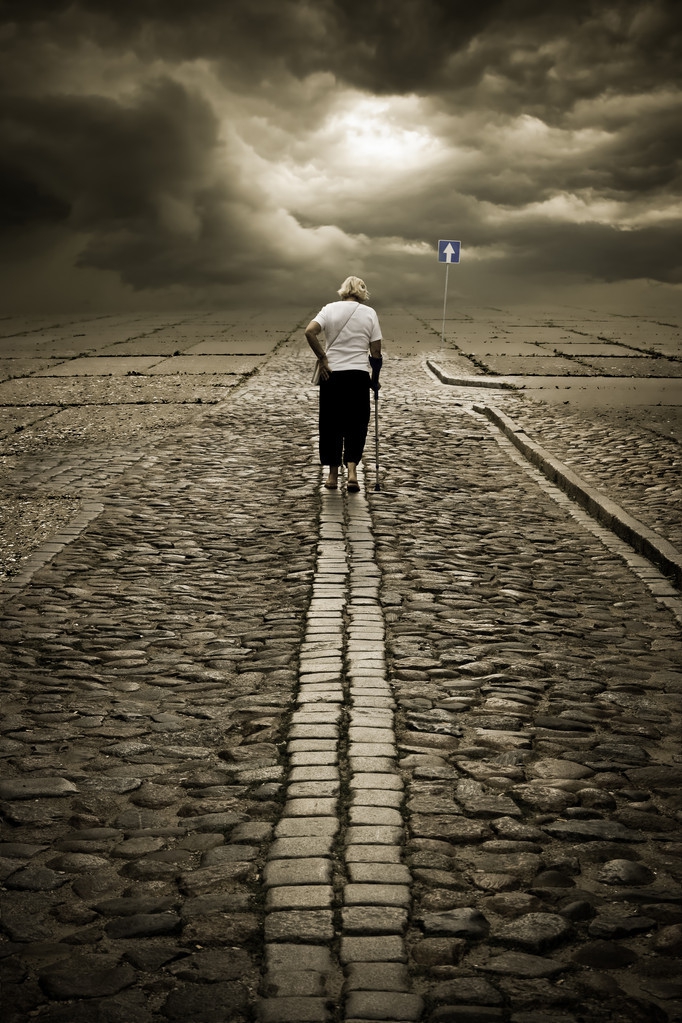 璺戦┈璺戞,璺戦┈涓虹敓