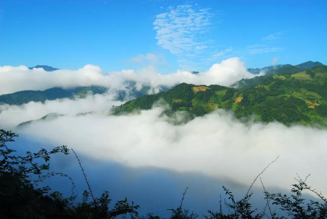 甘肃陇南属于西北吗,陇南是不是甘肃的好地方