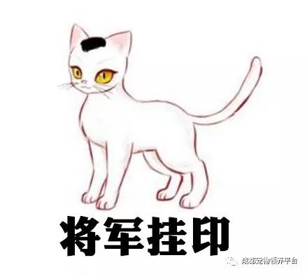 谁说土猫无名猫?快来围观古代猫谱,你家有没有镇宅神兽!