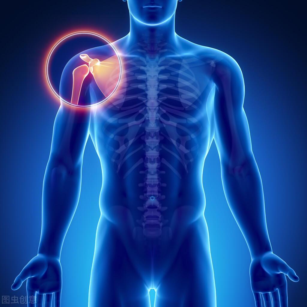 骨科膝关节识图,骨关节理论知识