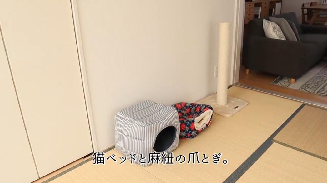 1屋2人3猫，她家是日式收纳美学典范！还有猫咪专用房，吸粉80万