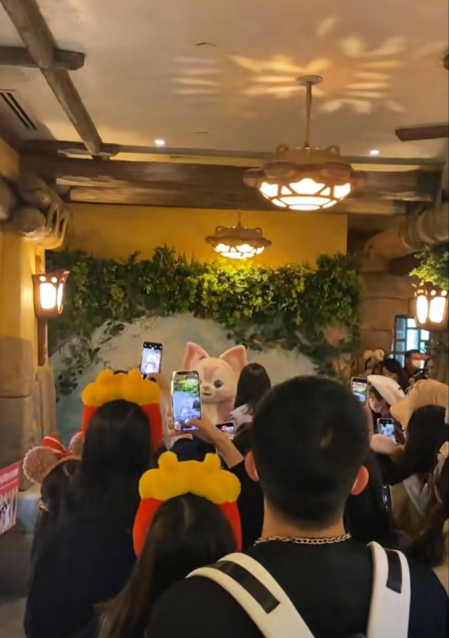 狐妖小红娘金晨曦控制过的人,金晨毛晓彤最新消息